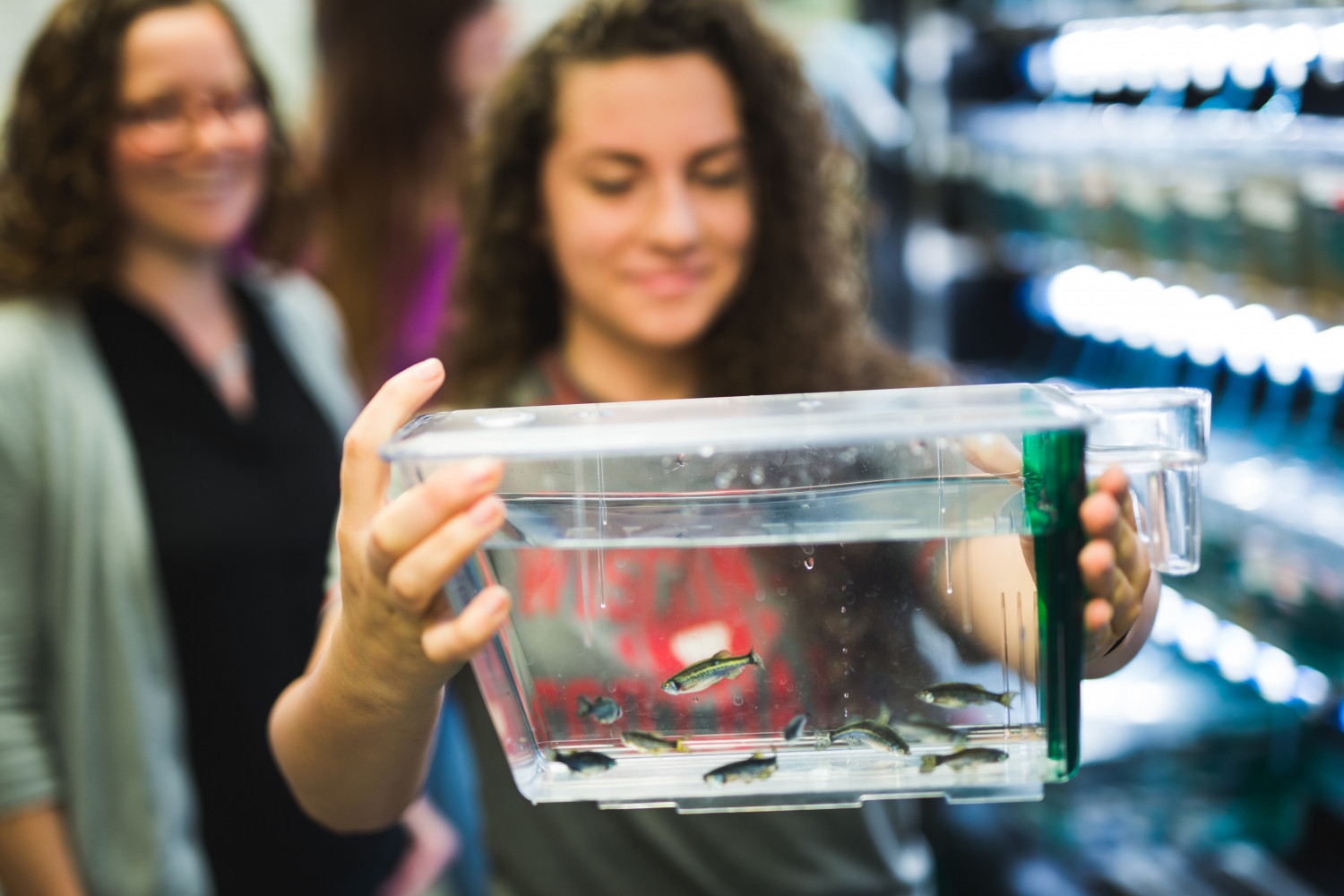 A Carthage student studies zebrafish under the guidance of Prof. Andrea Henle.