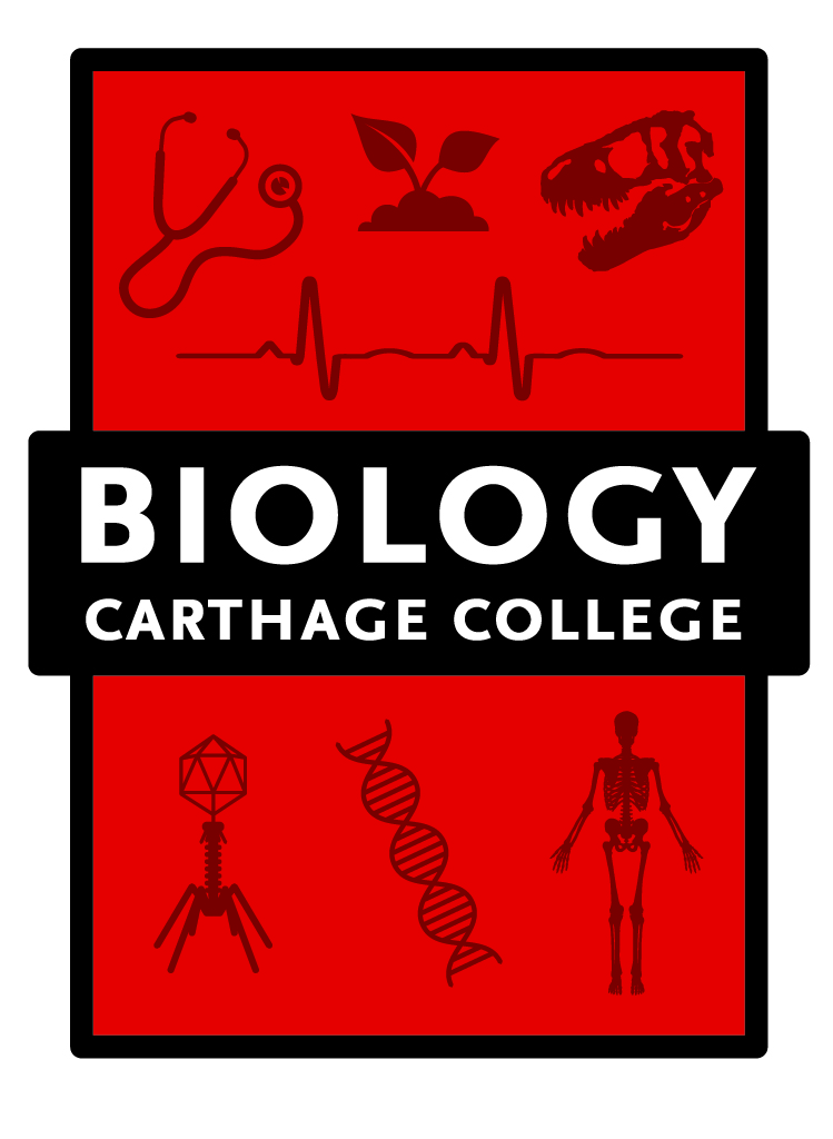Biology High School Graphic