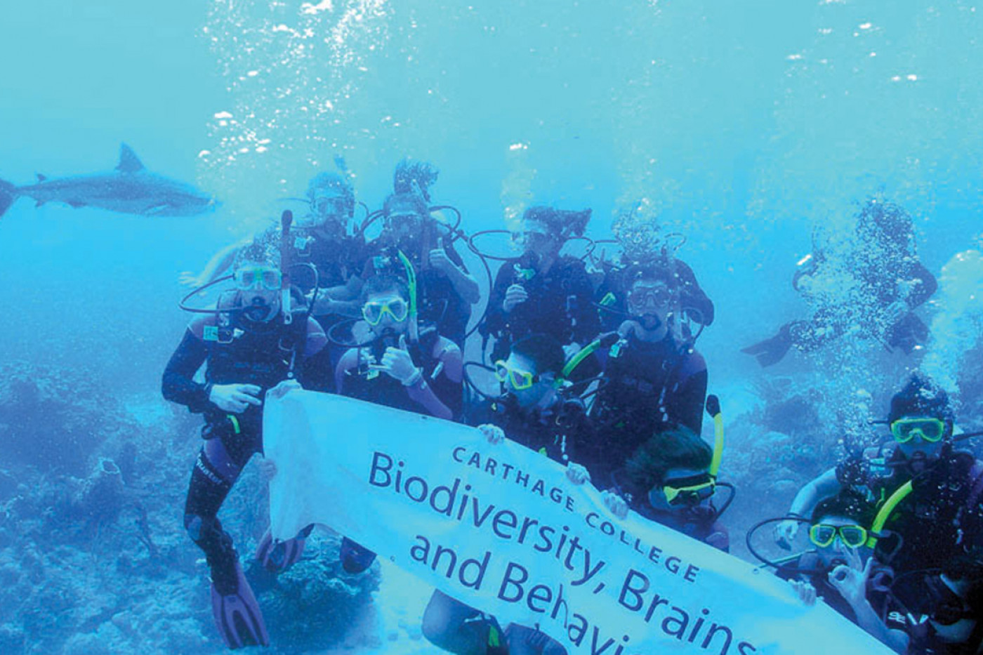 Students on the J-Term study tour Biodiversity, Brains and Behavior encounter a shark underwater ...