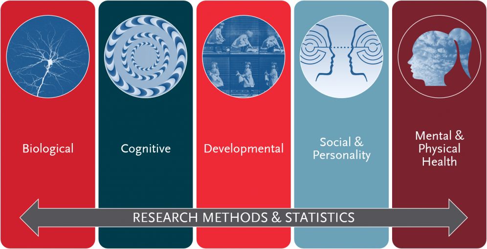 Psychology majors at Carthage will study the Five Pillars of Psychology.