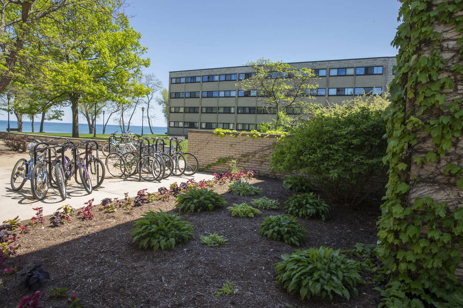 Johnson Hall, a co-ed building, is comprised of standard double rooms, a few quad rooms, and some...