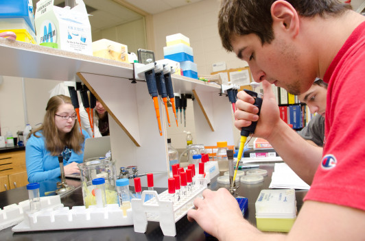Students begin their hands-on research during the first week of the course.