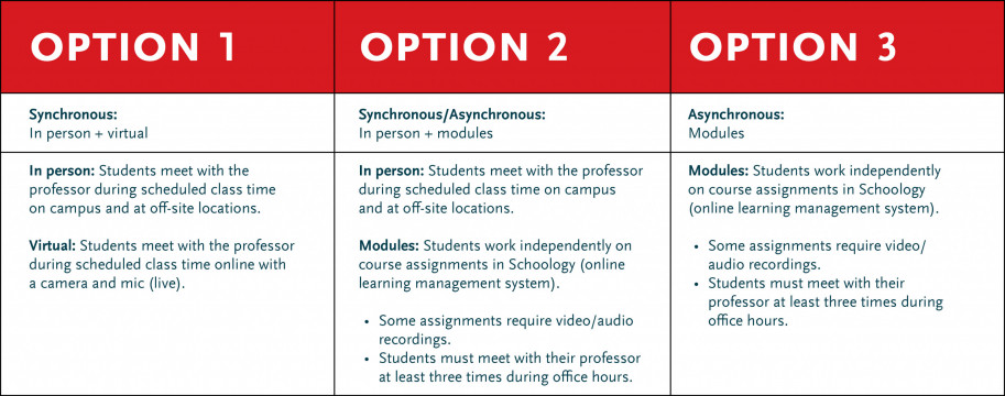 Option 1 Synchronous: In person + virtual In person: Students meet with the professor during sche...