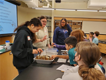 Students in the Case Studies in Environmental Science course teach local sixth graders about stra...