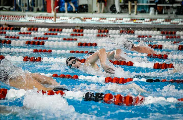 2019-20 Men's Swimming