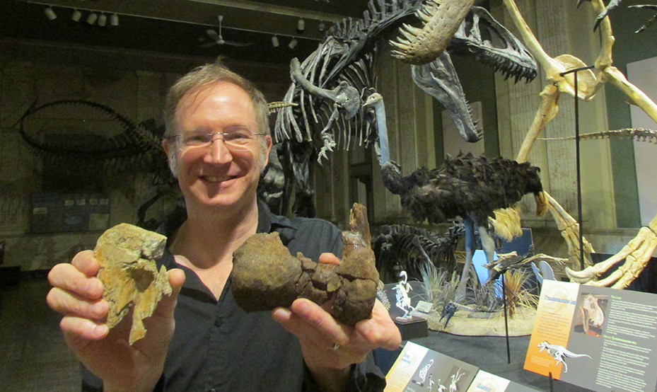 Prof. Thomas Carr holds the portion of the shin (L) and ankle (R) of ?Carthage's T. rex? that wer...