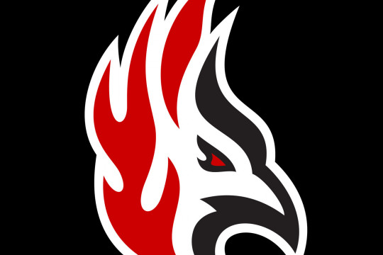 Firebird Logo Black Background