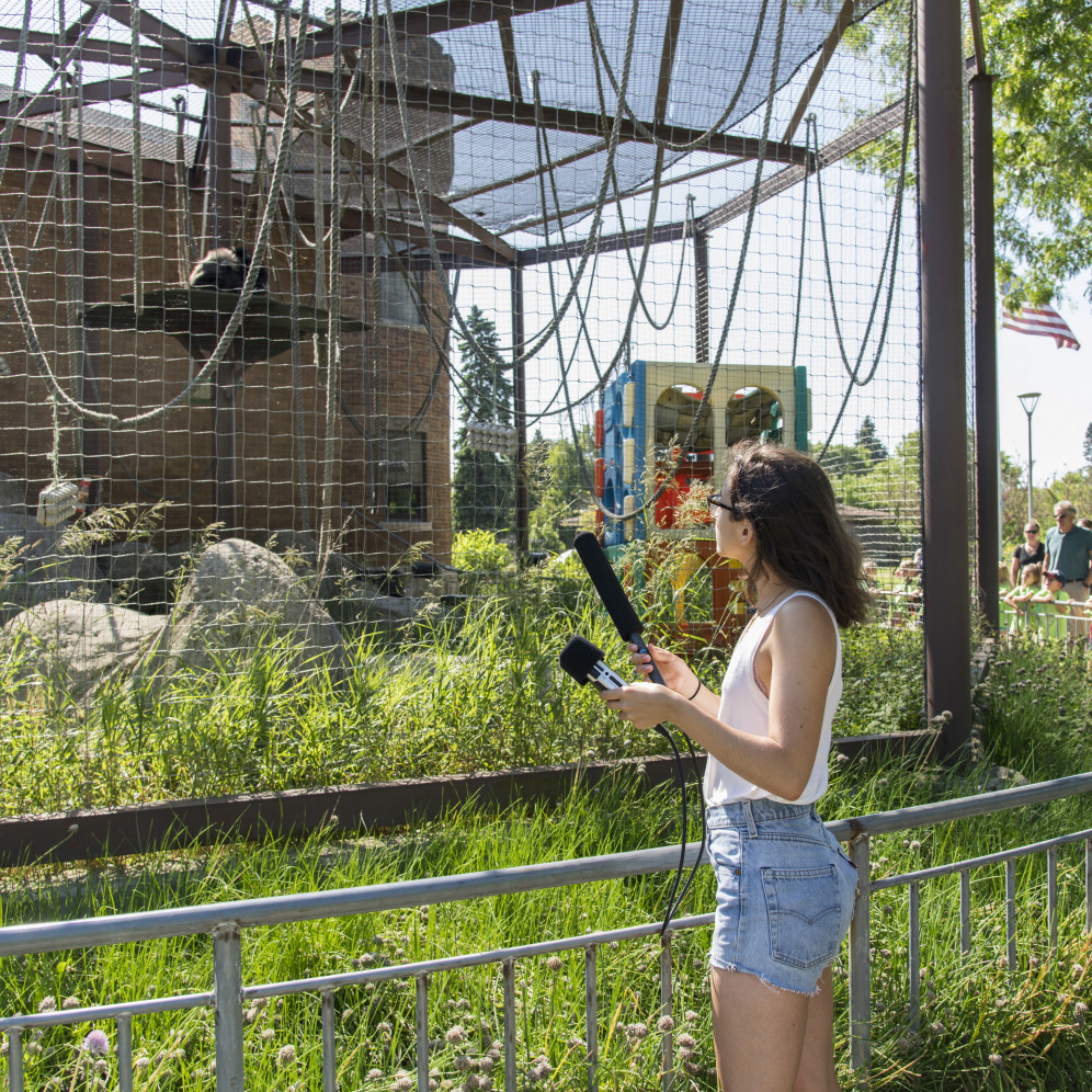Student Azniv Khaligian '22 records gibbons at the Racine County Zoo as part of the Summer Underg...