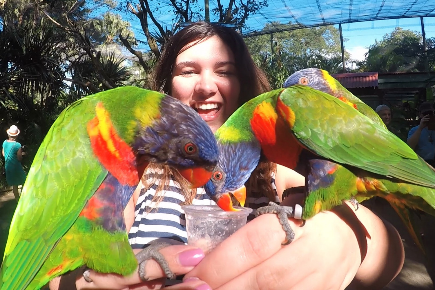 A student poses with two colorful birds during J-Term.