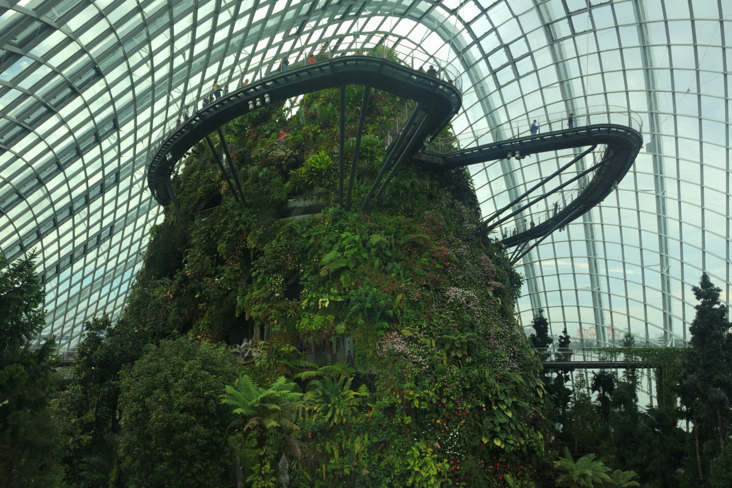 Cloud Forest in Singapore