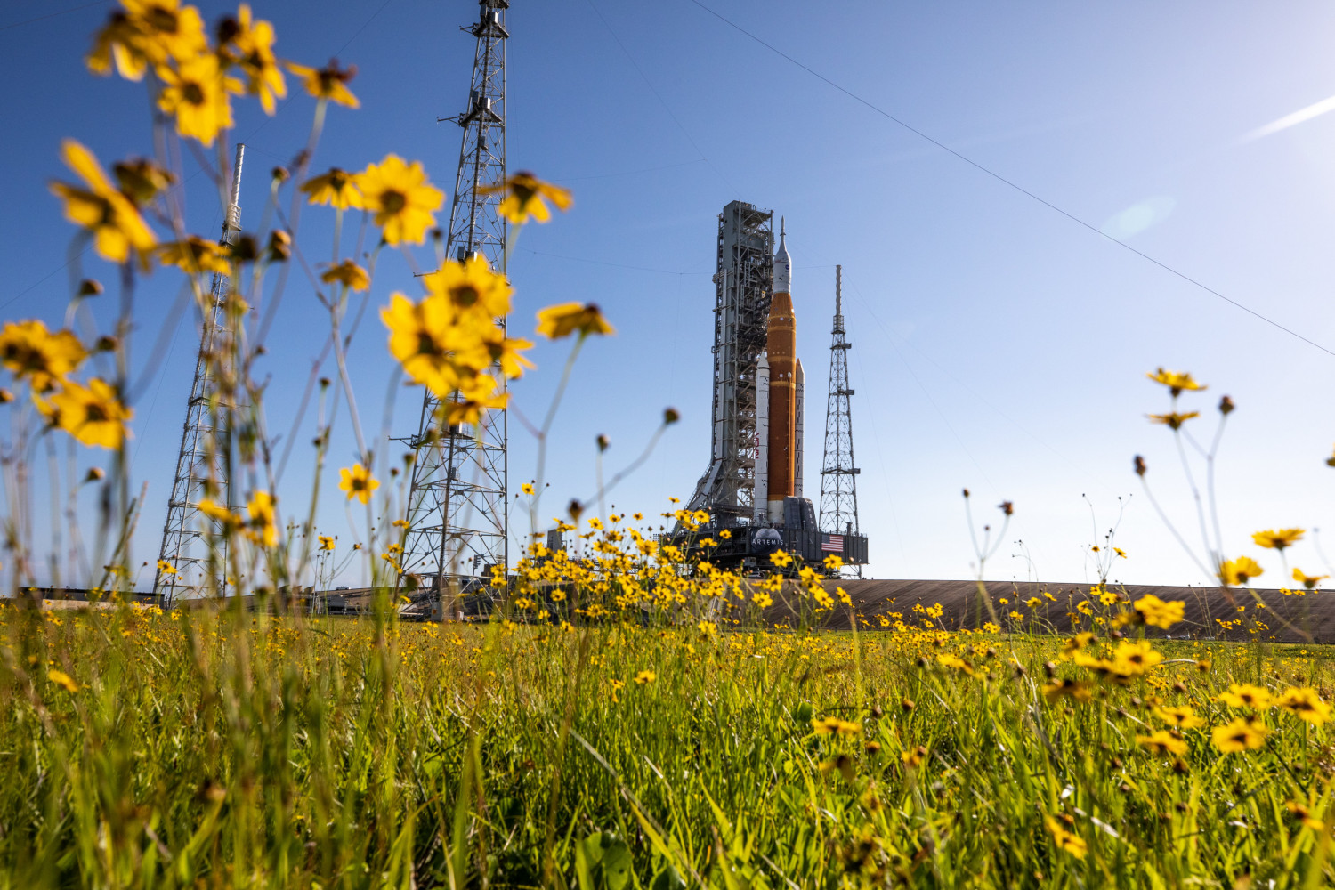 Wildflowers at NASA Kennedy Space Center