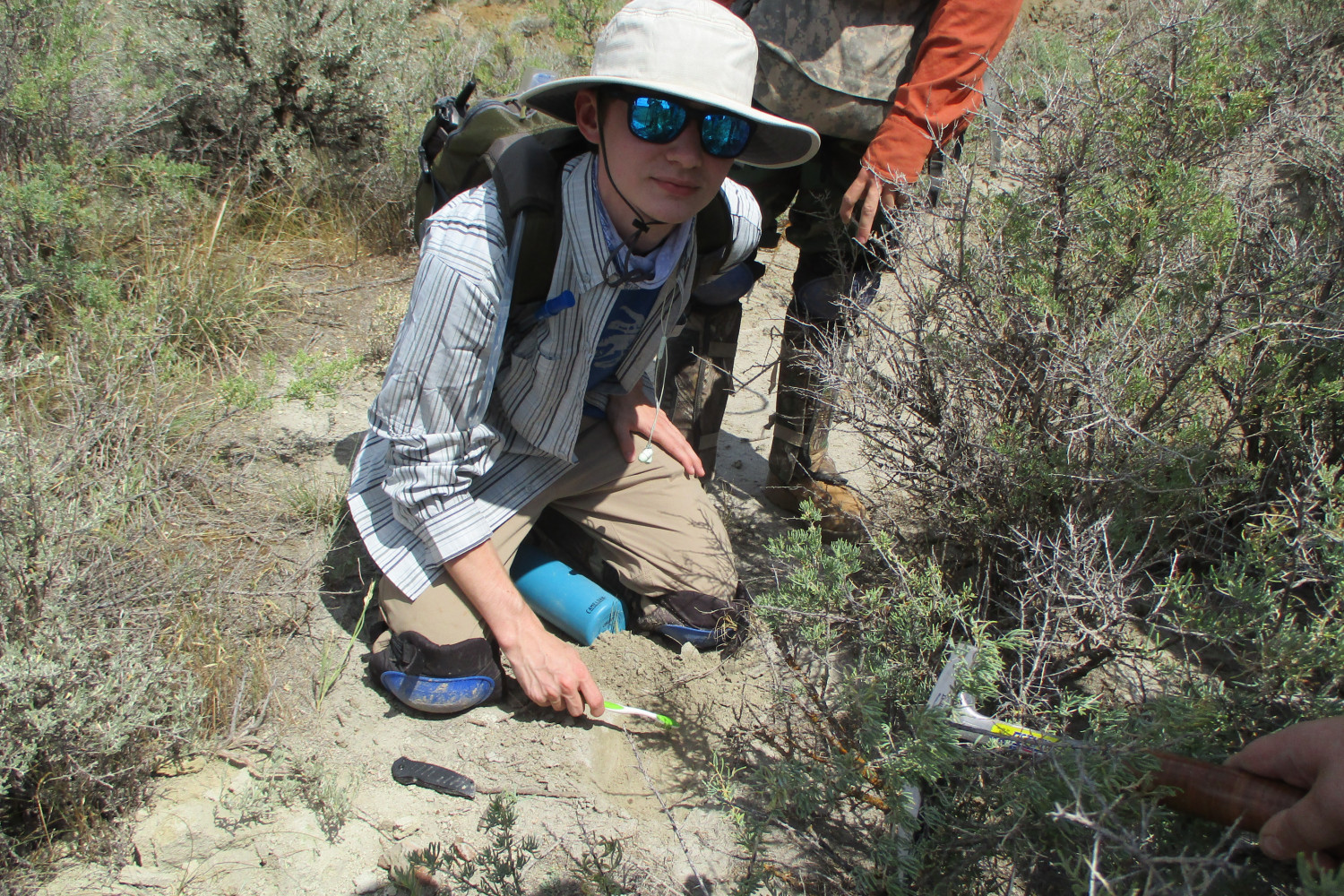 A student uncovering fossils at a dig site.