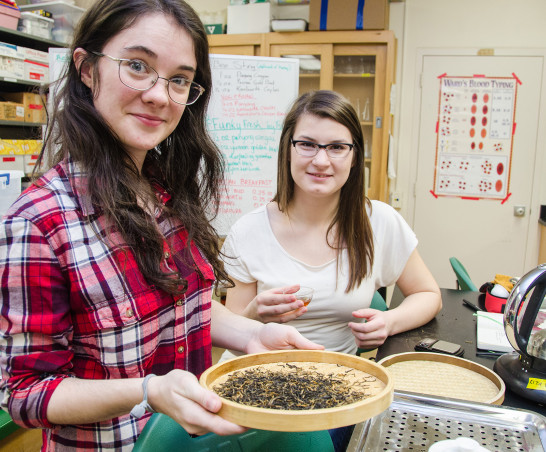 Students learn the science of tea during an on-campus J-Term course.