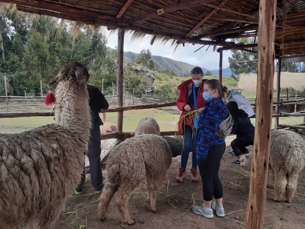Students at an alpaca, llama, and huanaco farm in Cusco