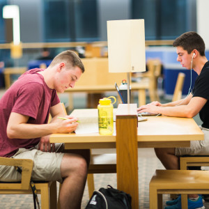 Students study in Hedberg Library.
