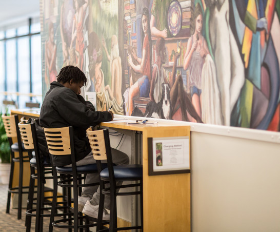 A student works on an assignment in Hedberg Library.