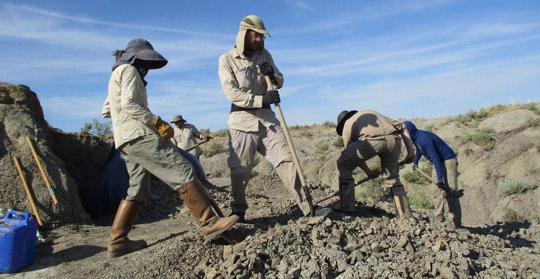 Biology majors specializing in paleontology at a dig site in Montana.