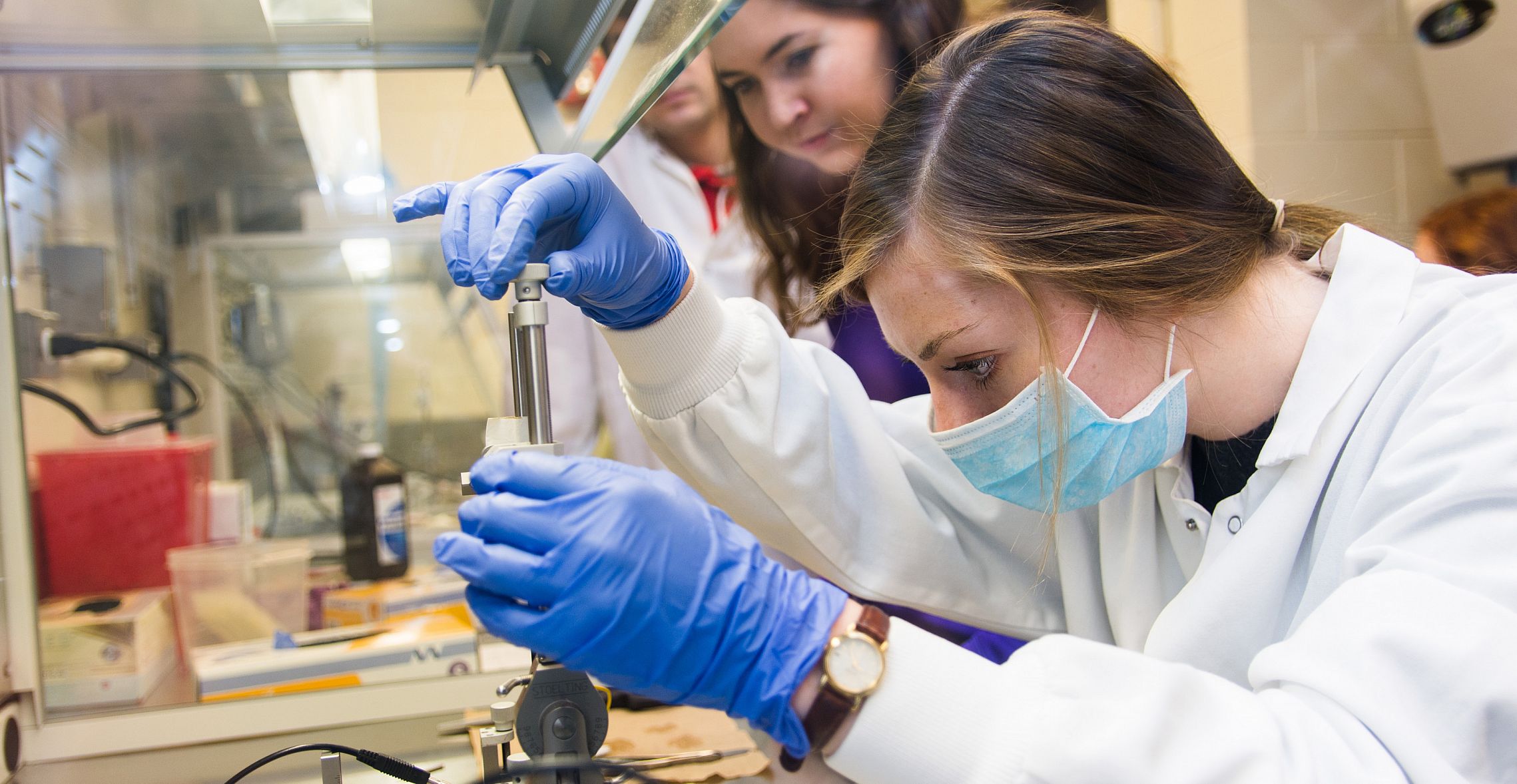 Neuroscience majors perform an experiment in a lab. Earn your neuroscience degree at Carthage College.