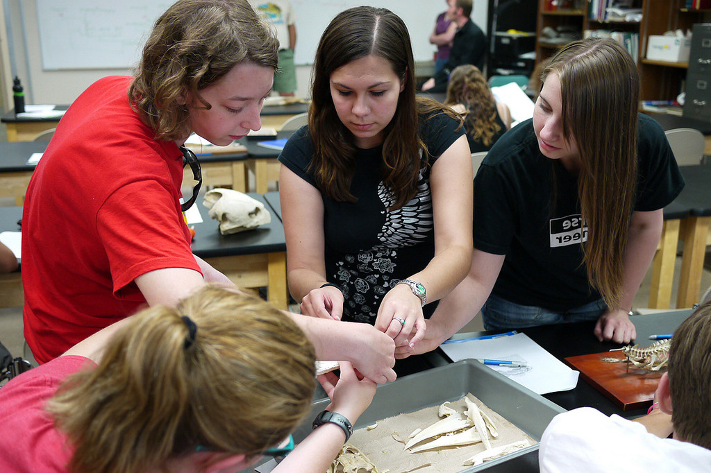 Students learning bones in the week before heading into the field.