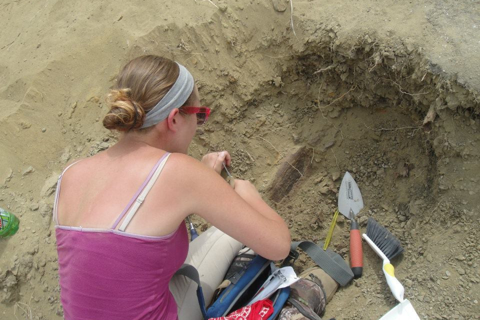 Stephanie Constantine ?15 uncovers a dinosaur bone that she discovered during the expedition.