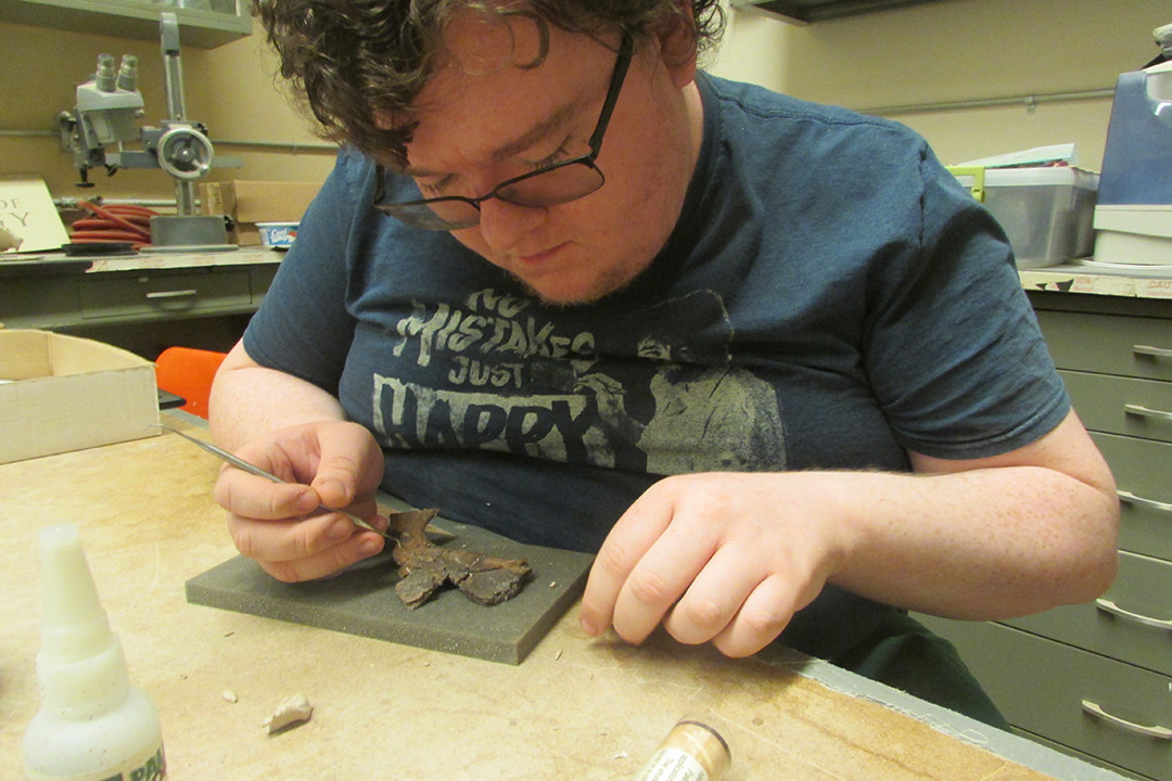 Nathan Cochran ?23, Department Fellow, piecing together the fragments of a Triceratops pterygoid ...